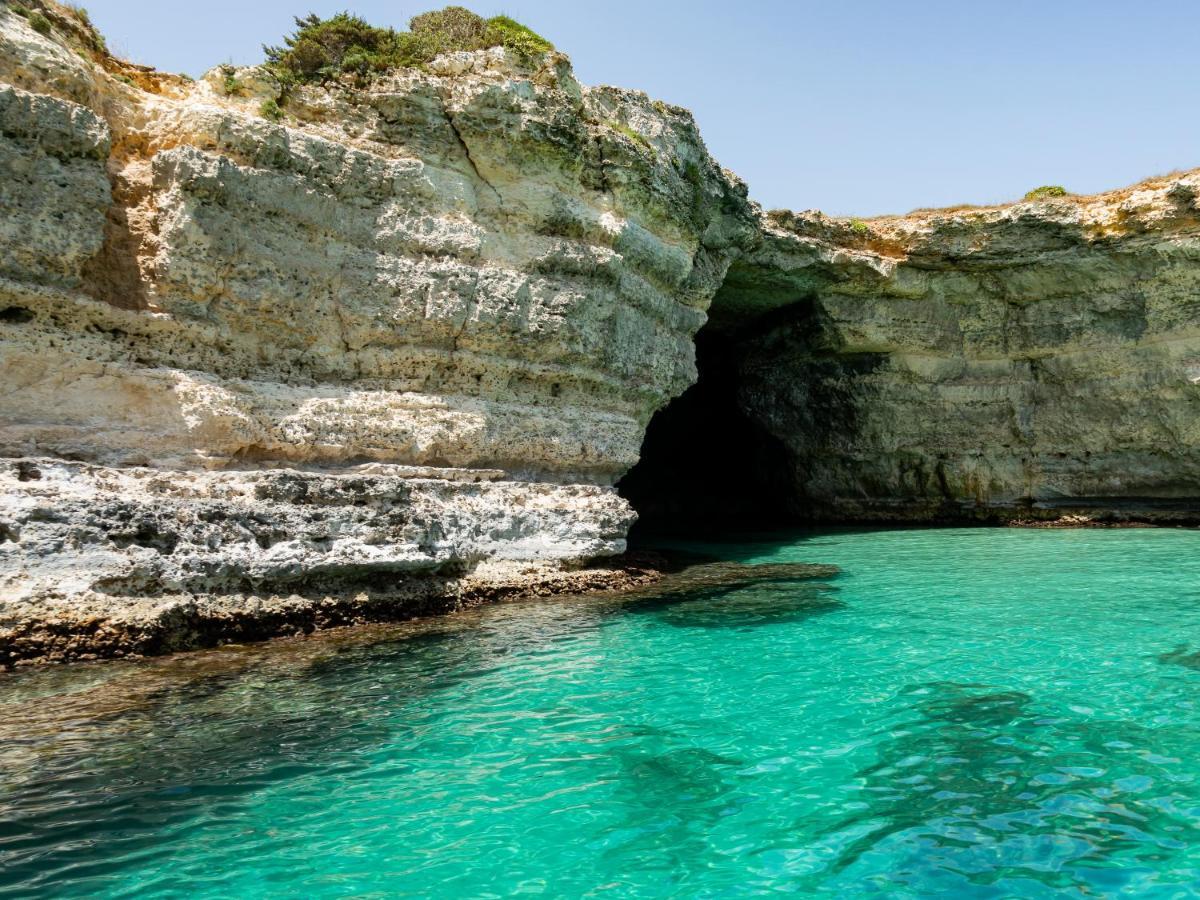 Holidays ليتشي المظهر الخارجي الصورة